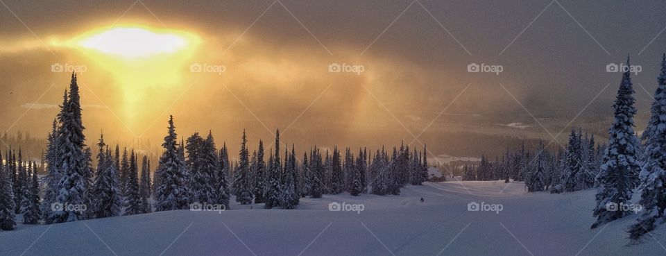 Scenic view of frozen trees at sunrise