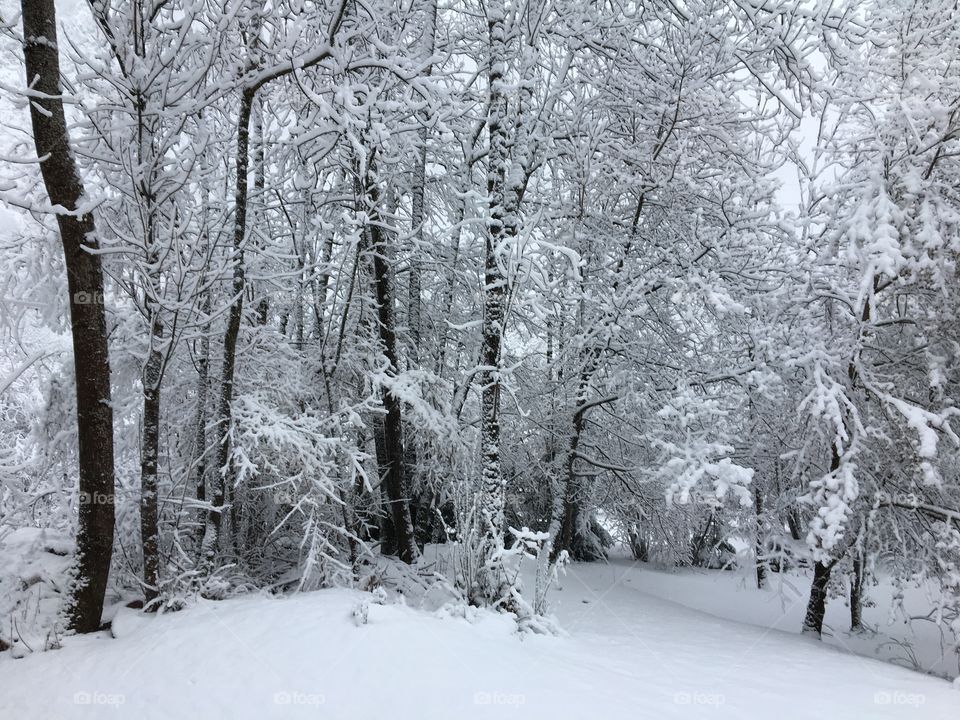 When you are ready for Spring 