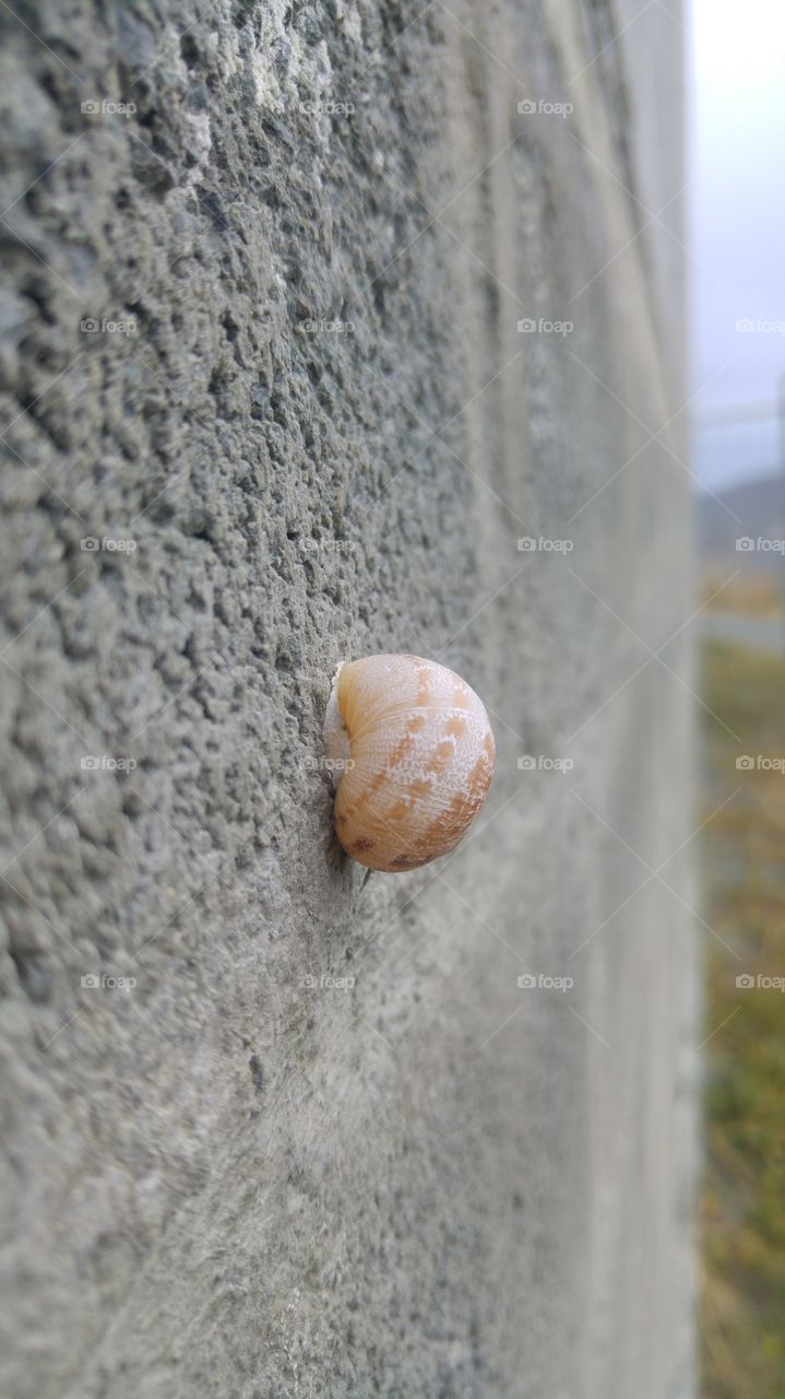 on the wall