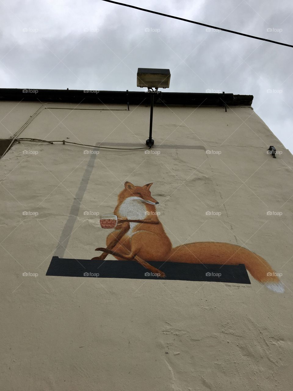 Pub art ... a painted fox on a pub wall ... looking down at two dogs who are looking up whilst he enjoys a pint (see previous photo)