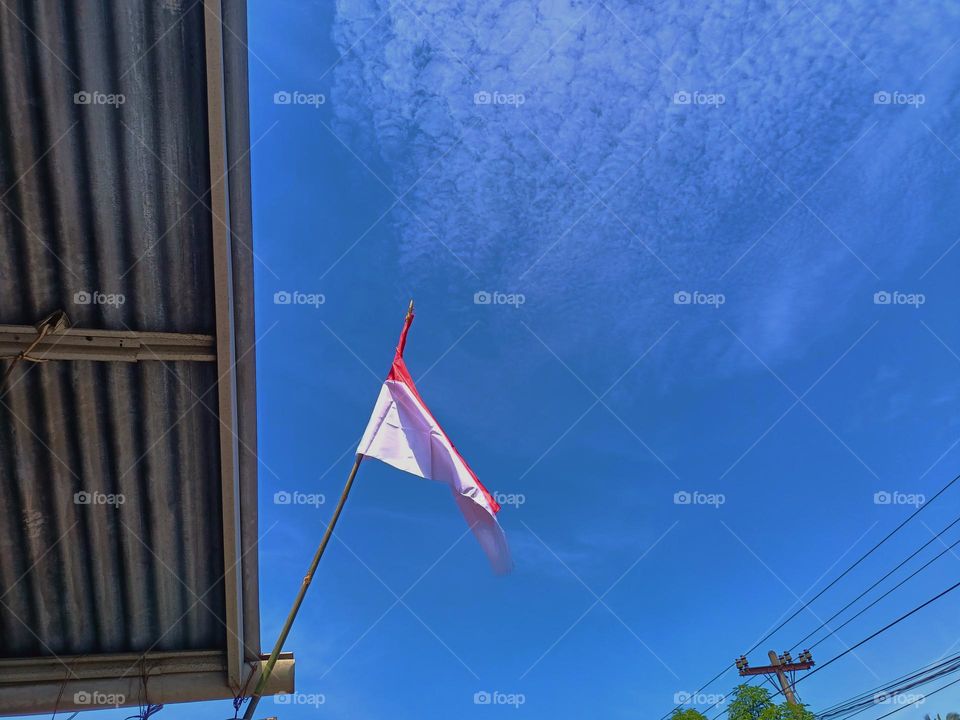 Indonesian Flag, The Red and white Flag, national symbol of Indonesia. Red and white pennant or flag on a bamboo 
pole used to commemorate Indonesia's independence day