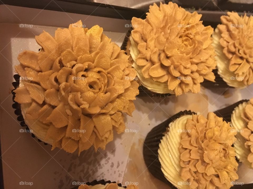 Chrysanthemum cupcake 