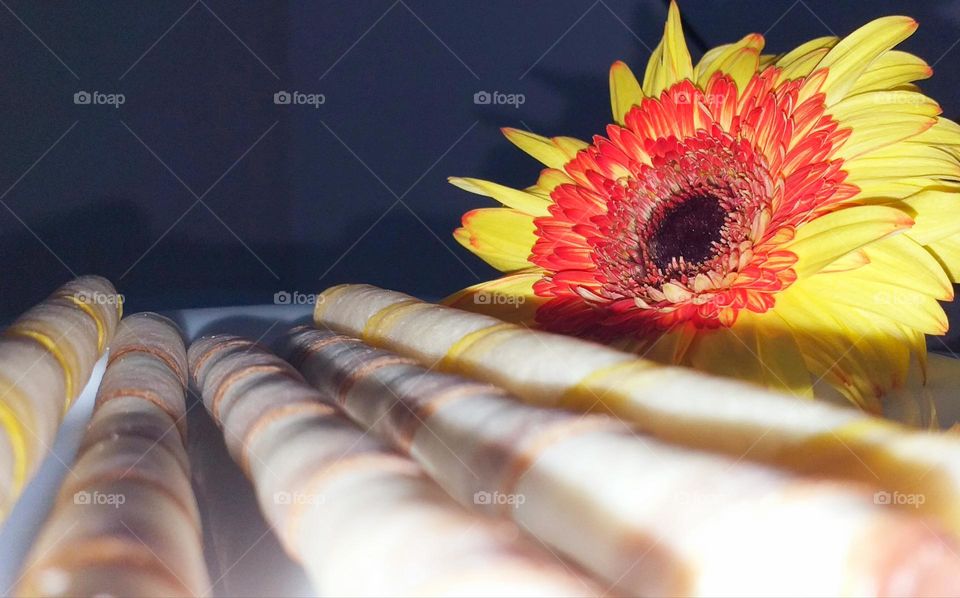 Summer treats - sweets for children decorated with a flower