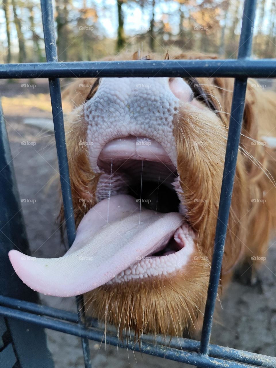 Well, give me some bread