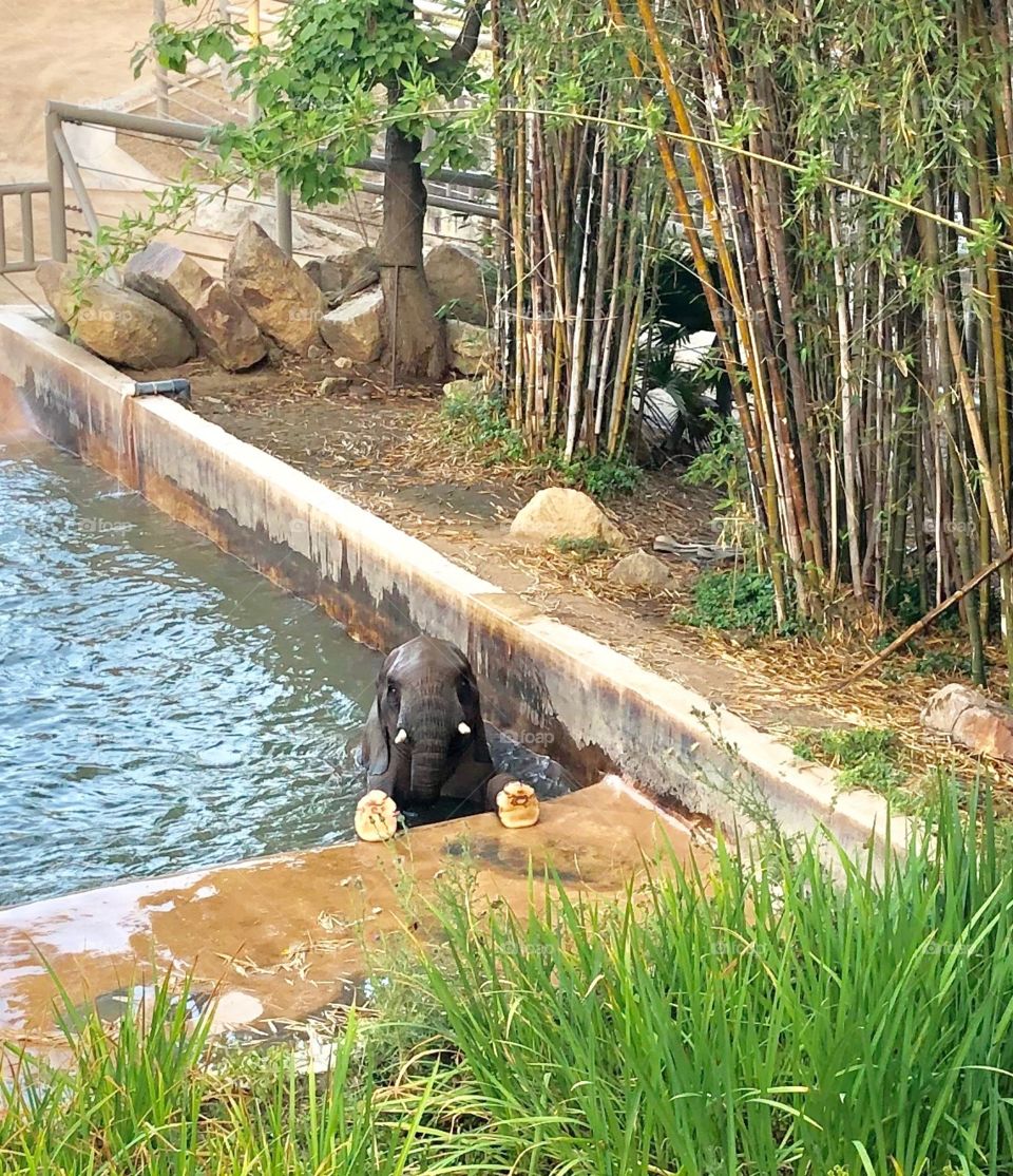 Can I get my nails done?