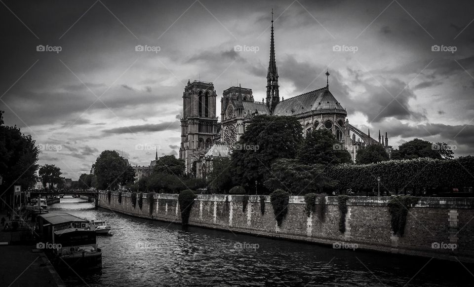 Notre Dame de Paris B&W