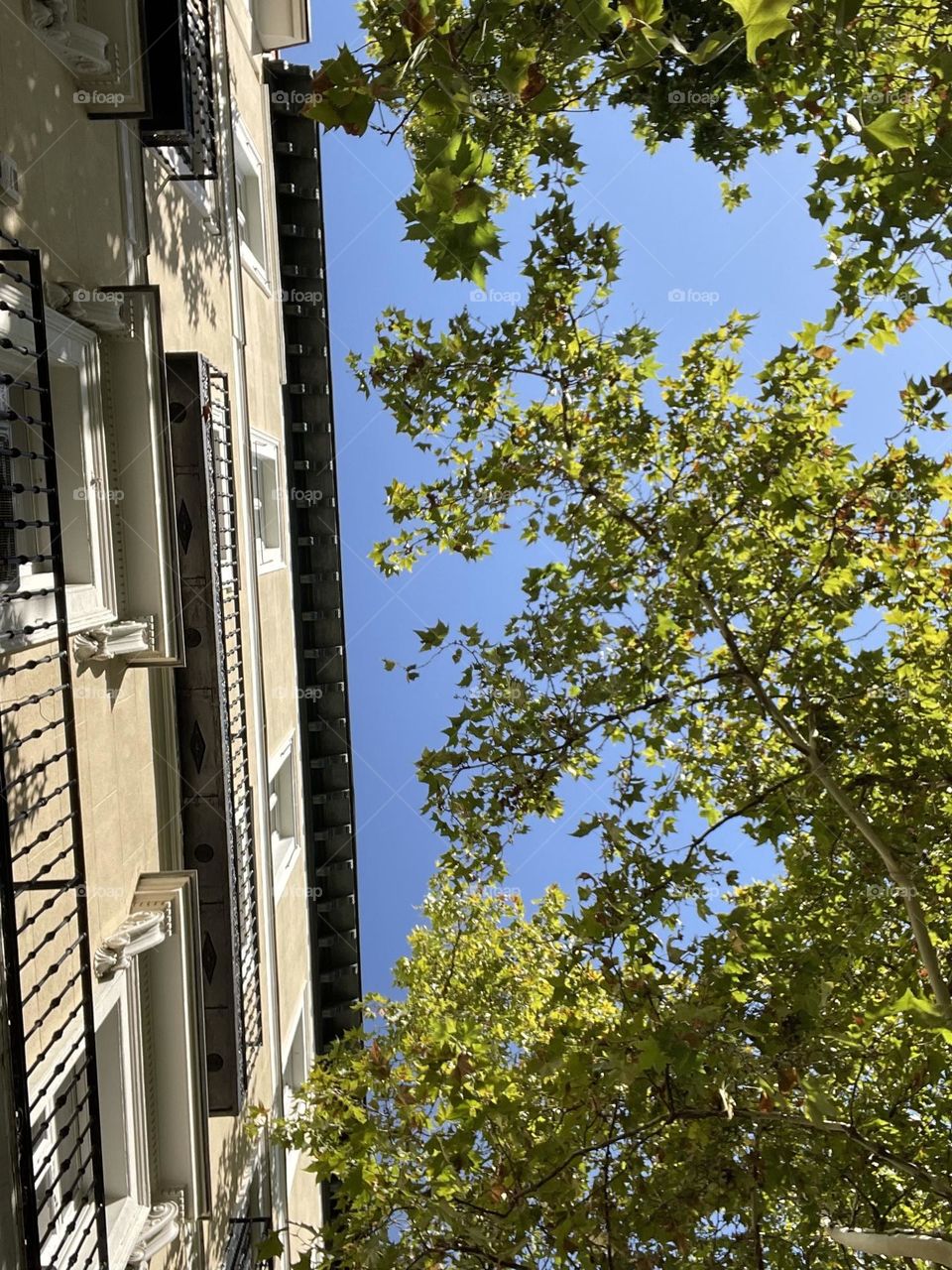 A new day in Madrid✨