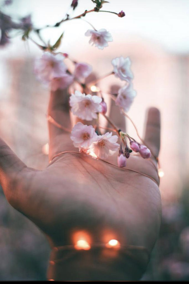 Spring time3