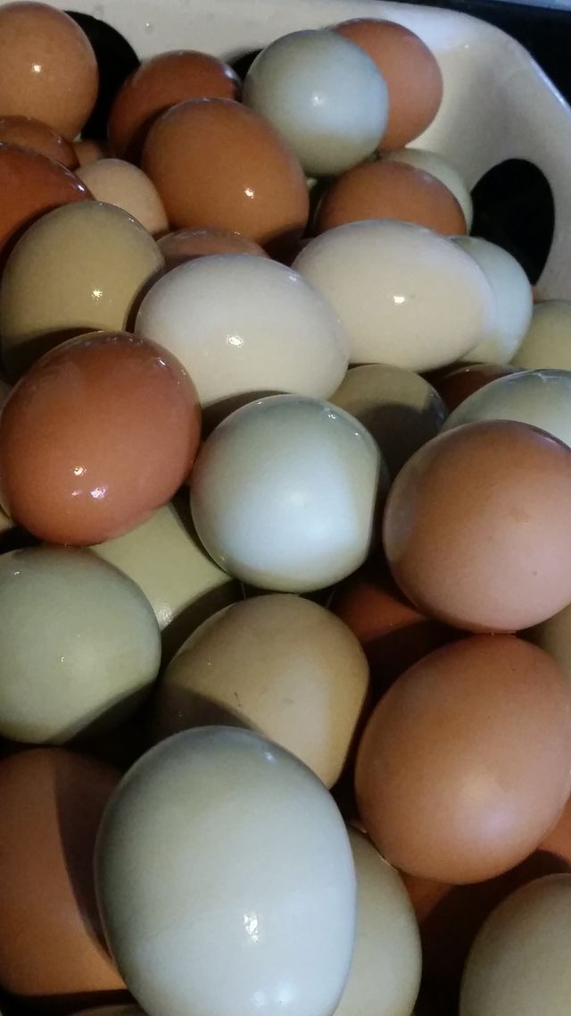 natural and undyed
