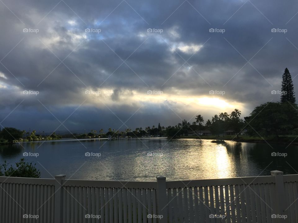 Early morning stroll 