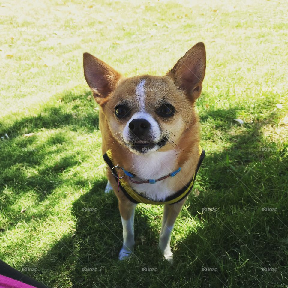 To the park we go! Mia loves her outdoor time with the family! 