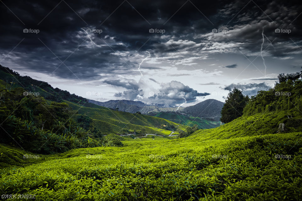 Lightning over the green mountains 