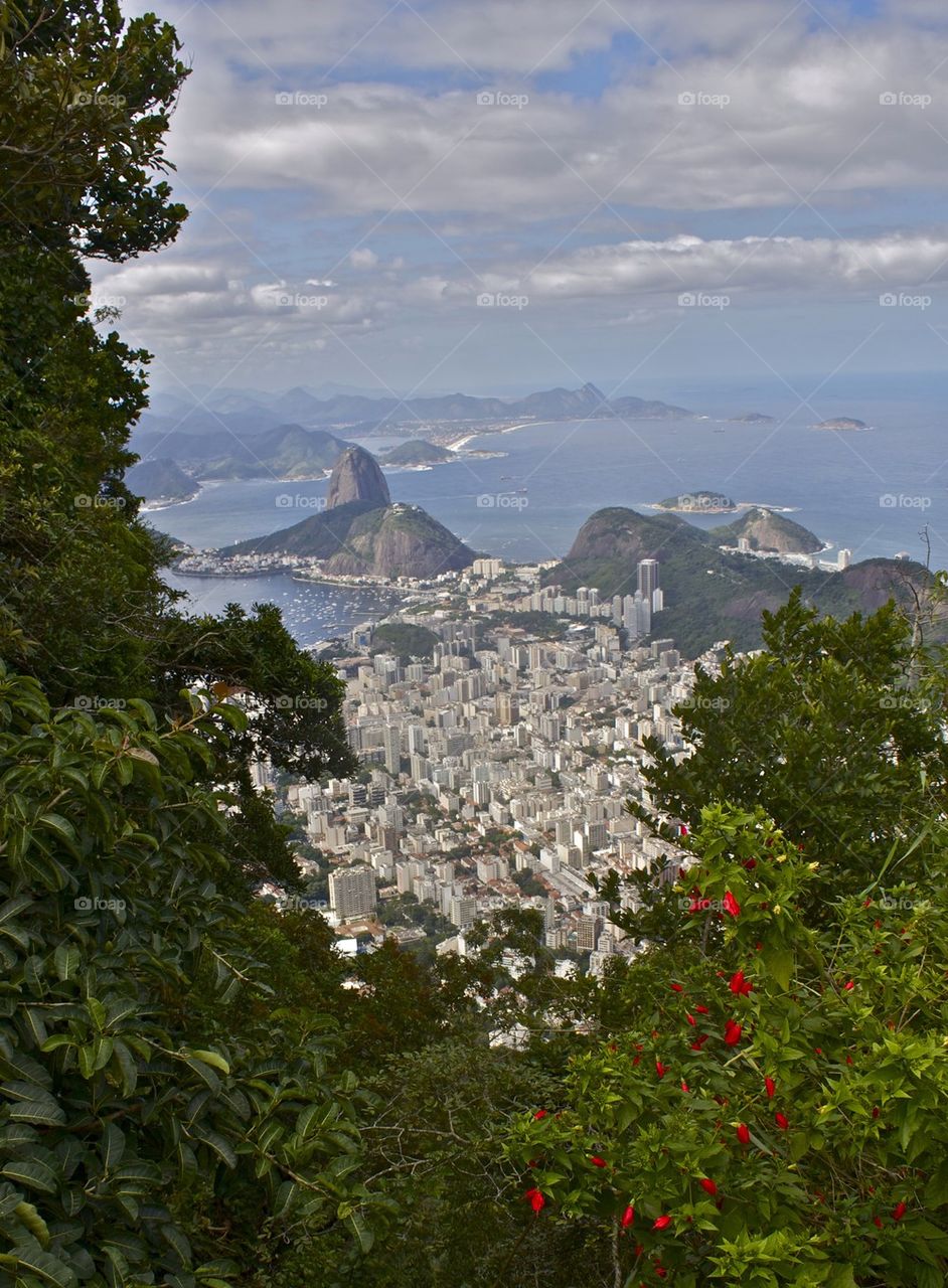 Corcovado view