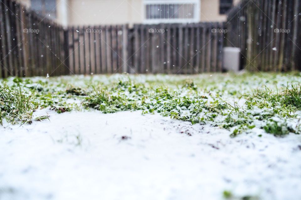 January snow days ❄️