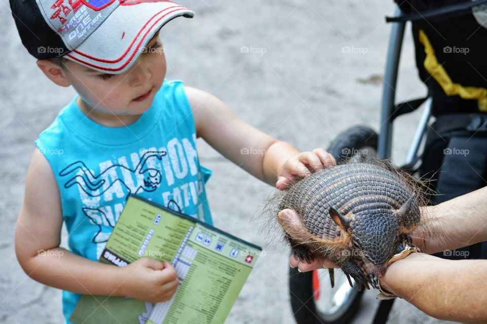 Young toddler boy petting an armadillo outdoors 