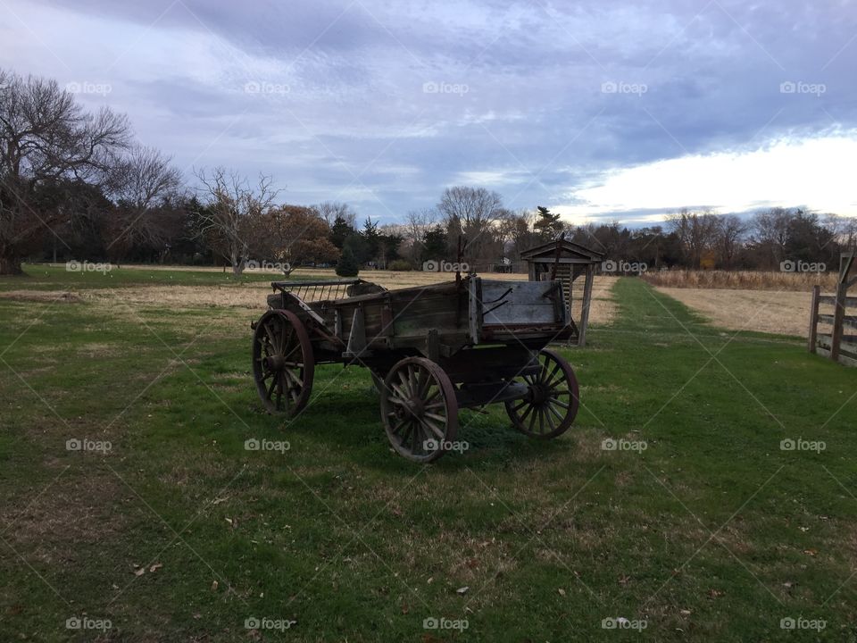 Wagon, Agriculture, Farm, Vehicle, Landscape