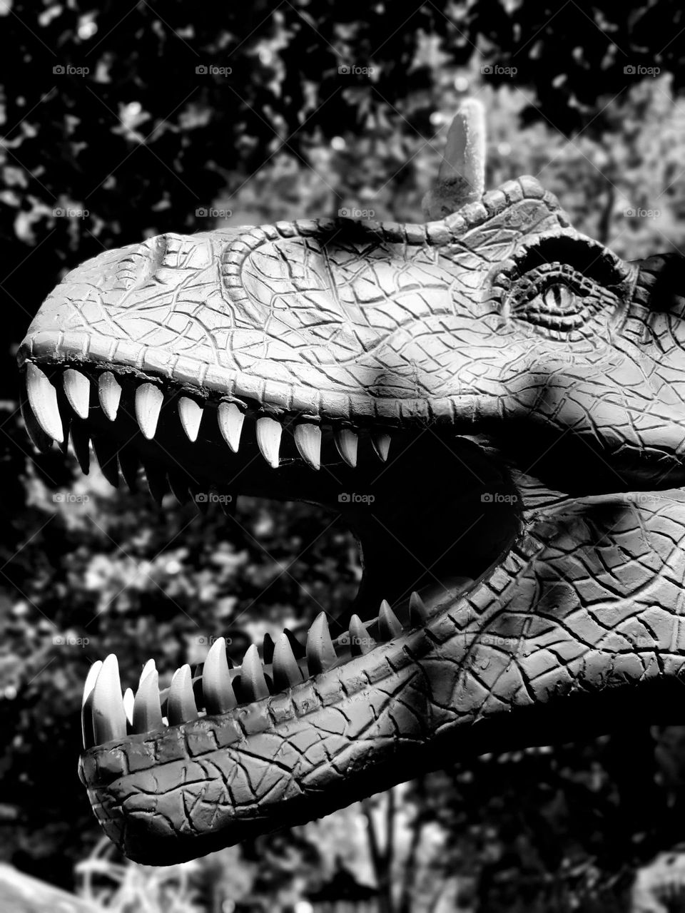 Dinosaur head in black and white