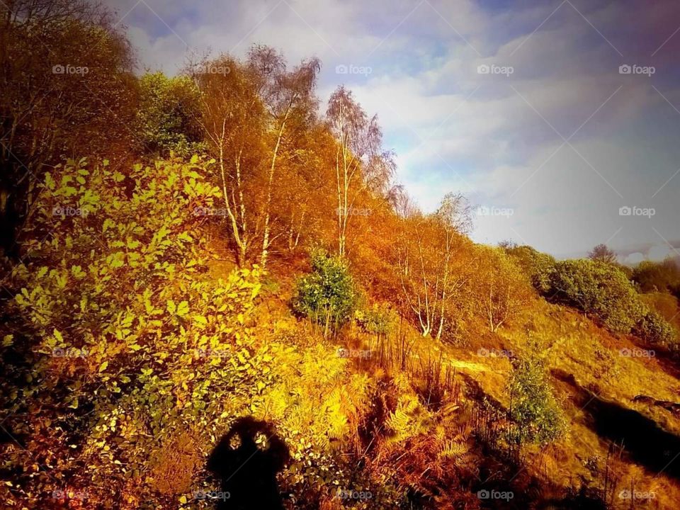 Photographer in Autumn 