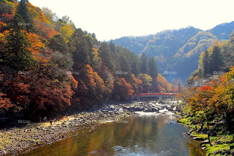 Autumn and water... Nice couple