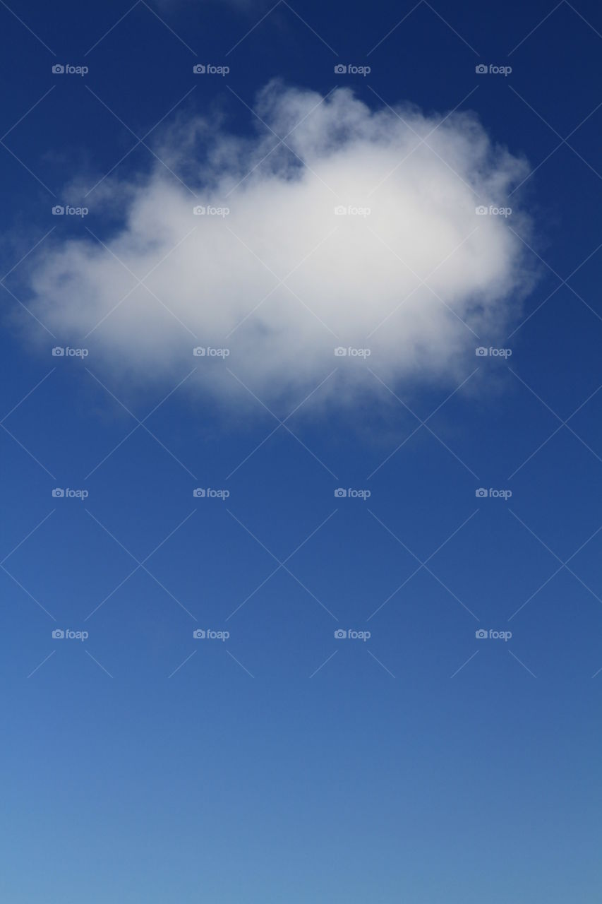 White Fluffy Cloud. A small white fluffy cloud against a deep blue sky.