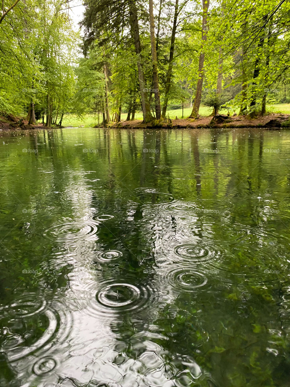 Steibachweiher 