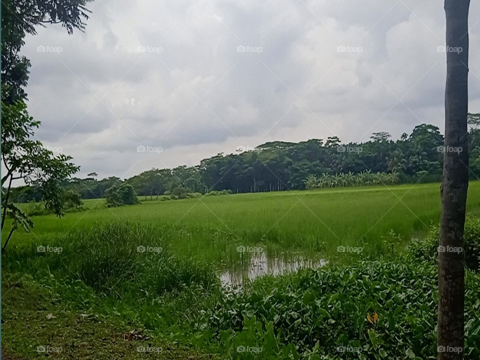 Editor’s choice:Photo of the week