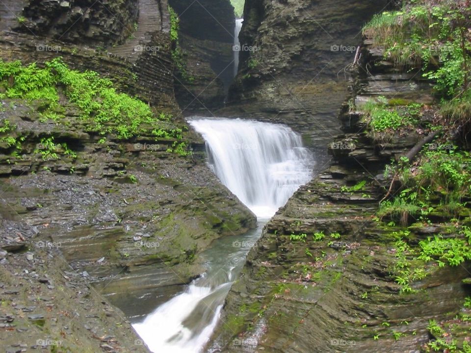 Watkins Glen