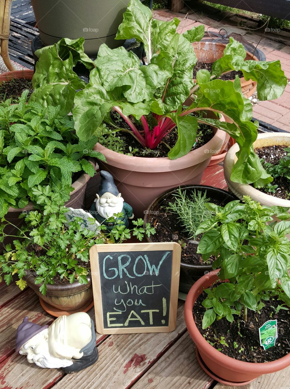 gardening for purpose