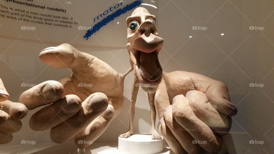 People, Man, One, No Person, Indoors