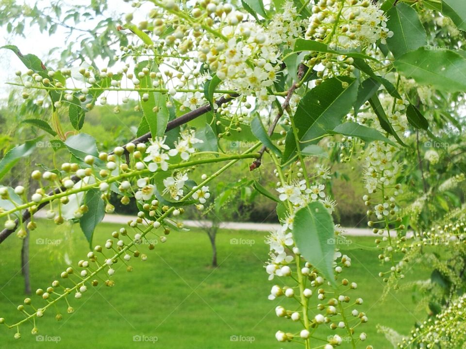 Spring is alive and well