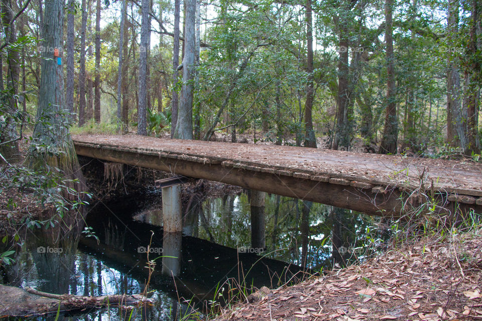 Reflection from bridge 
