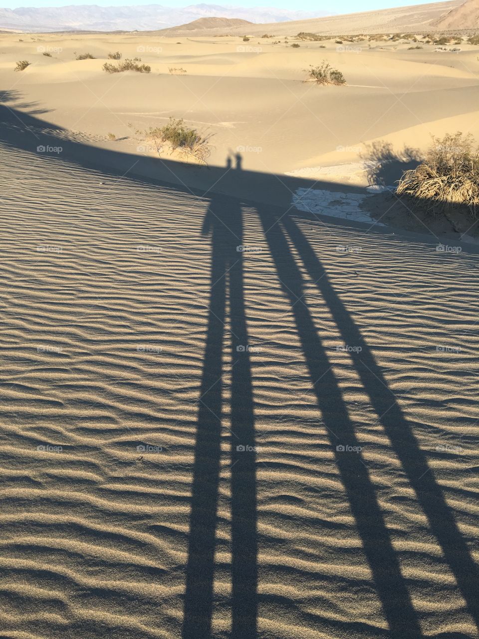Shadows on the Sand dunes of Death Valley 