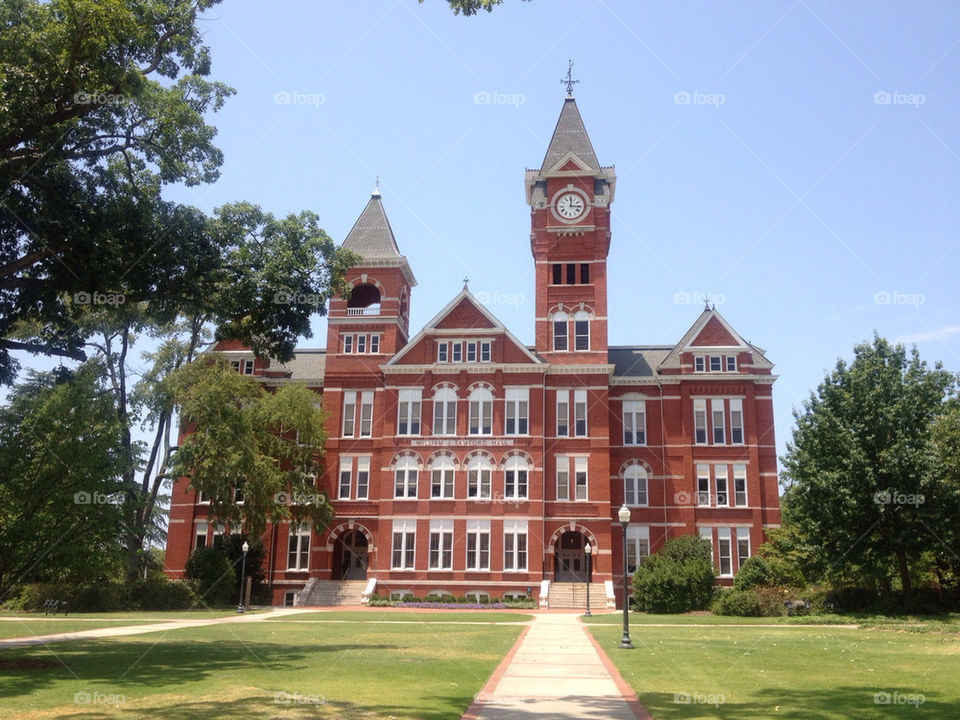 china auburn by tyler_bowman88