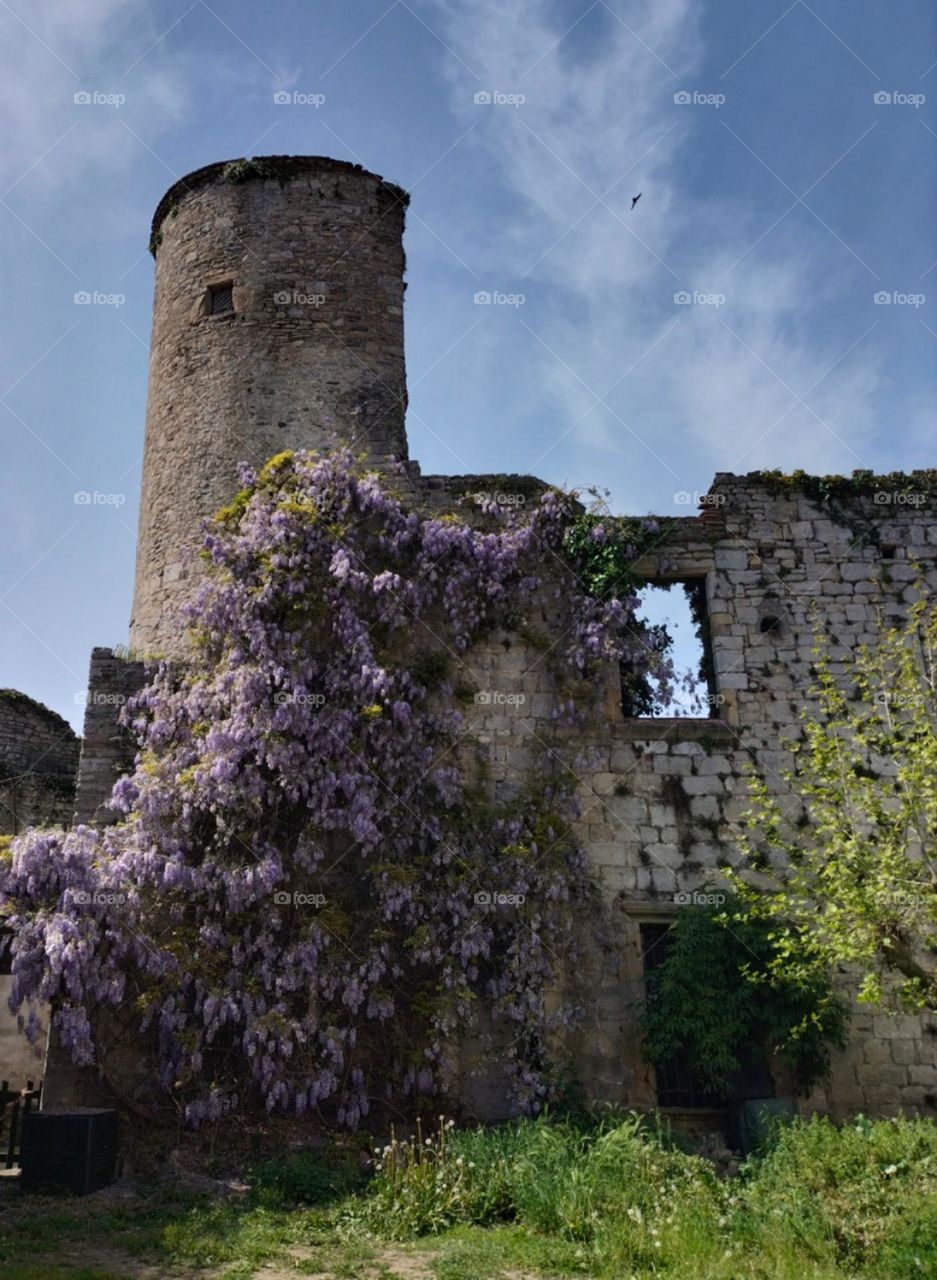 vestiges fortification