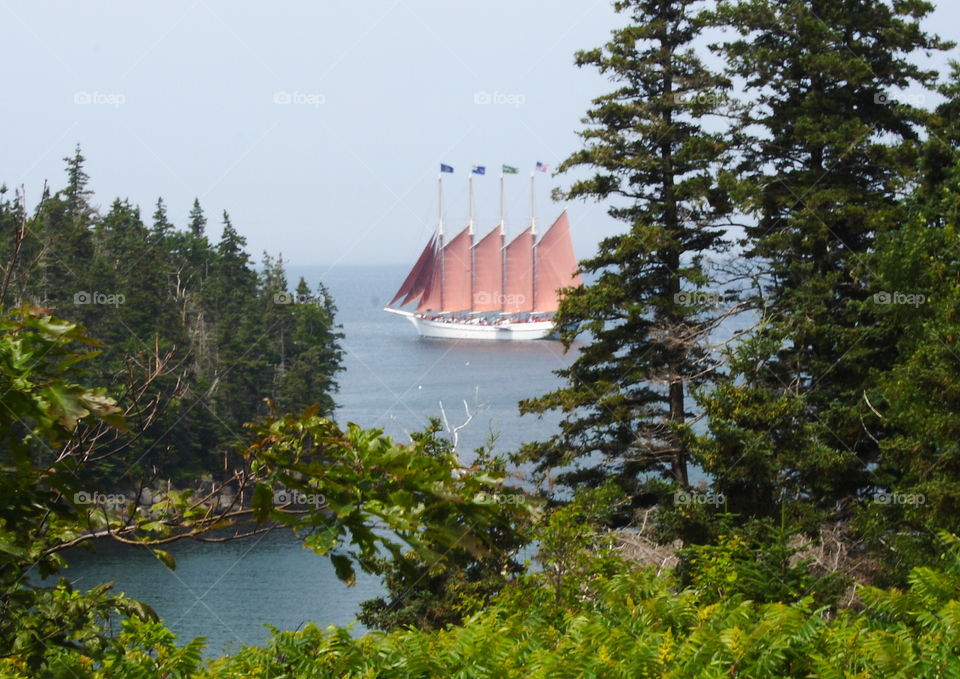The Margaret Todd sailing past The Hop and Long Porcupine Island in Frenchman Bay Maine