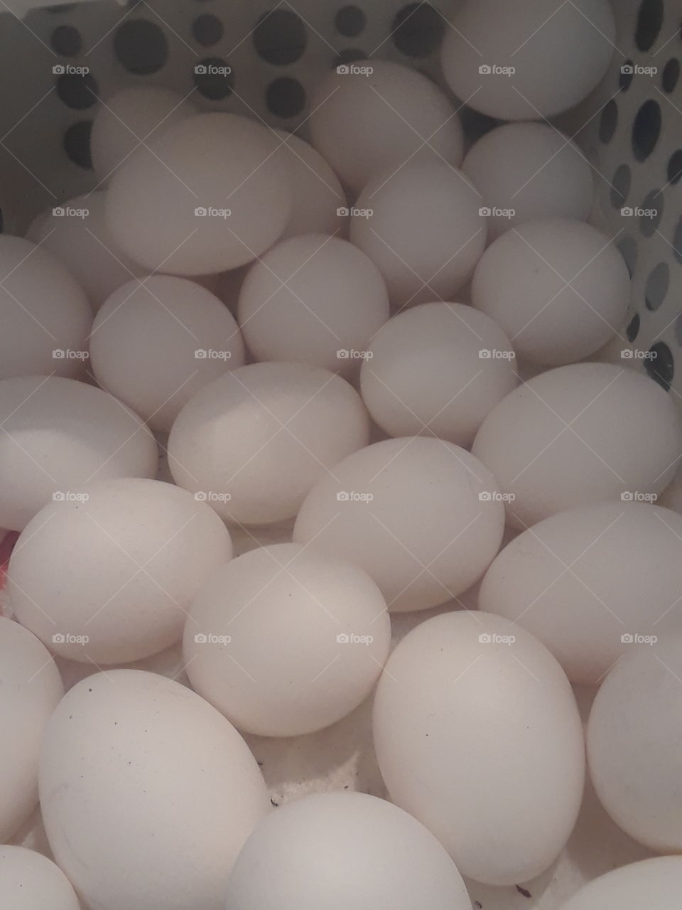 Eggs