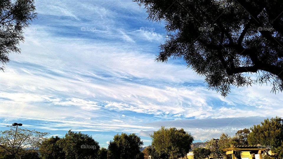 Windblown Clouds on a beautiful day!