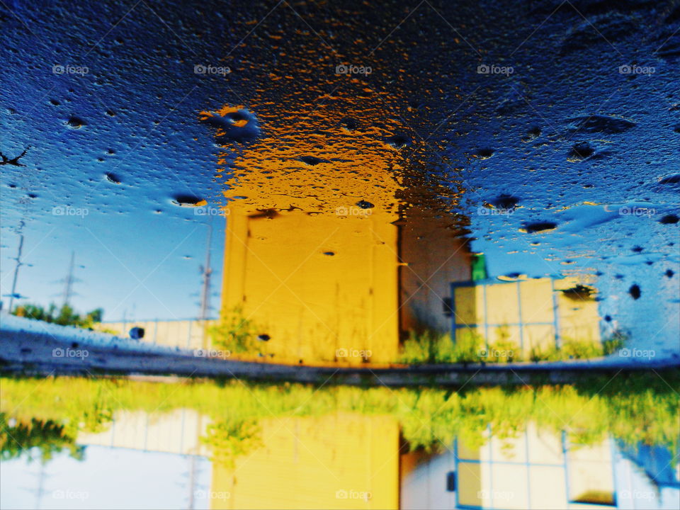 Mirror image of houses in a puddle, Kiev,