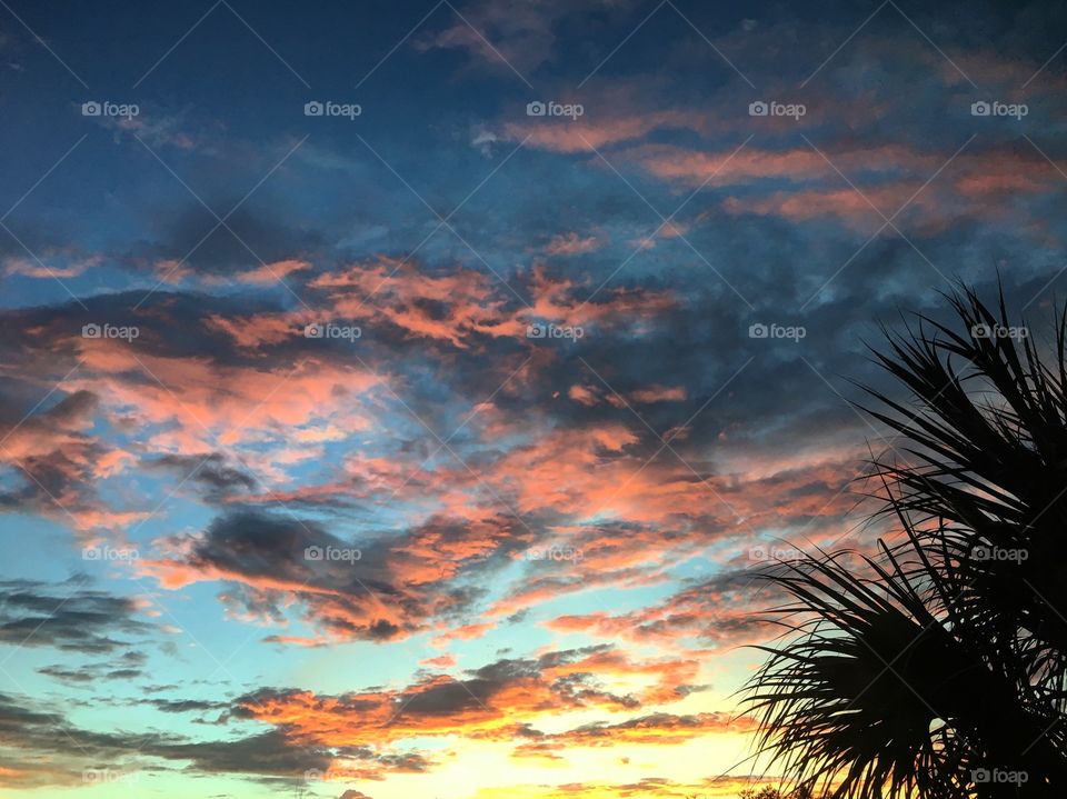 Florida sunsets 