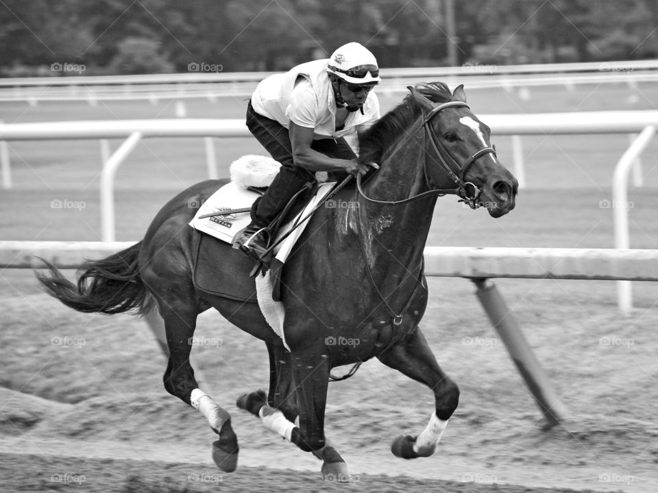 Ken McPeek Workouts. This blazing racehorse from the Ken McPeek barn was training on the Oklahoma training track at Lovely Saratoga. 