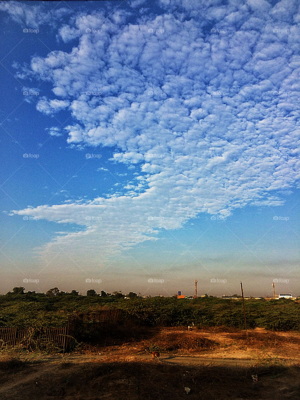 #photography #love #to #click #natural #photo #click #by #iphone5s #gujarat #sky #look #crazy #clouds #lovely #nature