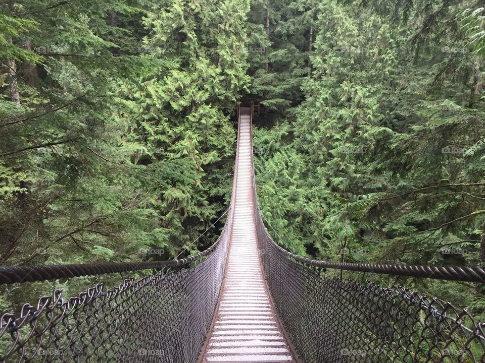 View of suspension bridge