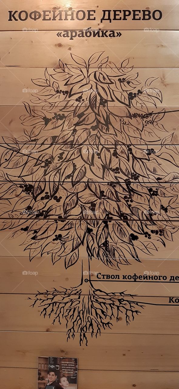 рисунок ковейного дерева на стене