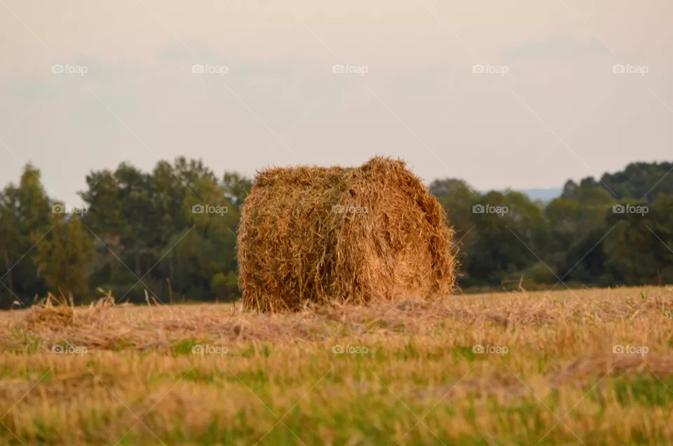 straw