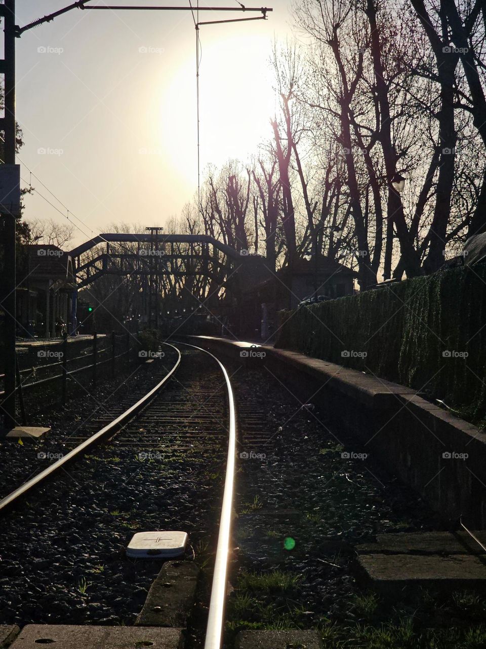 Tracks of the railroad system in glimmer with the late afternoon at sundown in winter.