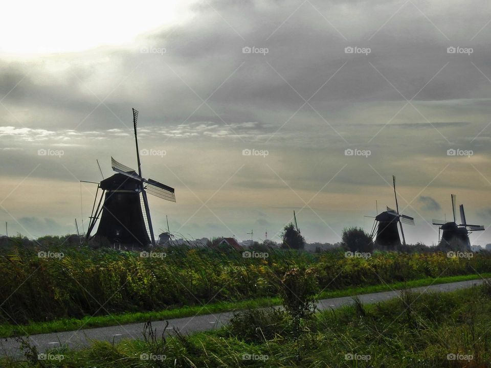 The Netherlands