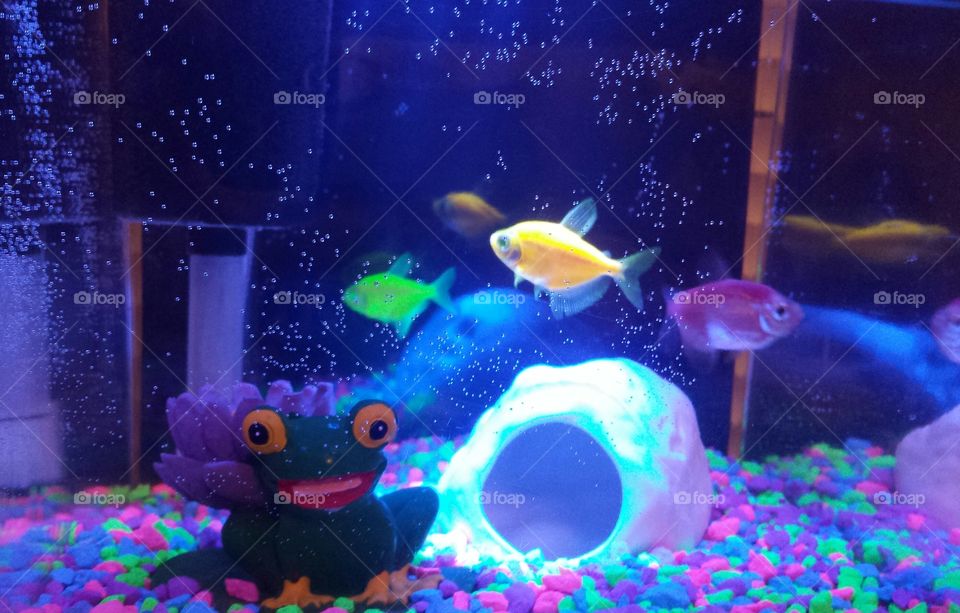 Glowfish