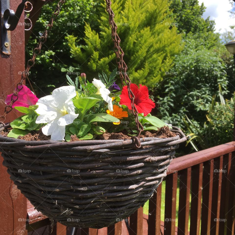 Flowerbasket