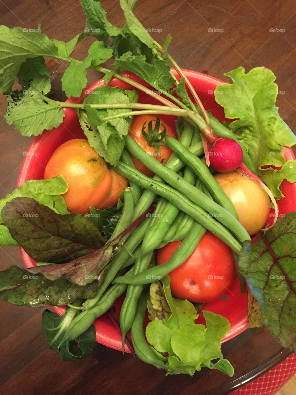 A bounty of beautiful colored vegetables, some radishes and the fruit of the tomato. 
