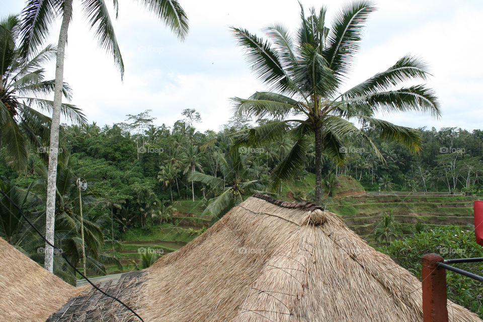 Indonesia